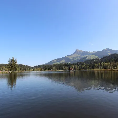 In Niederndorf Near Kufstein With Balcony Chalet *